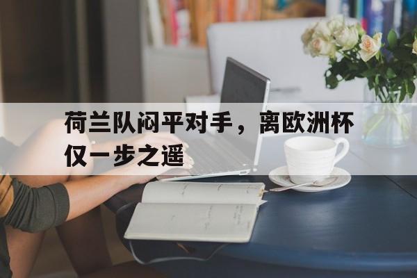 模拟器试玩-荷兰队战况